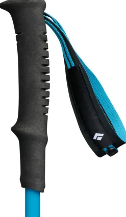 Black Diamond Distance Carbon FLZ Poles