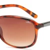 BLOC Bee Sunglasses - Shiny Tortoiseshell-Brown Graduated