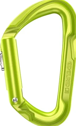 Edelrid Pure Slider III Carabiner - Oasis