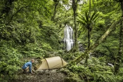 Fjallraven Abisko Lite 2 Tent - Pine Green