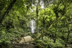 Fjallraven Abisko Lite 2 Tent - Pine Green