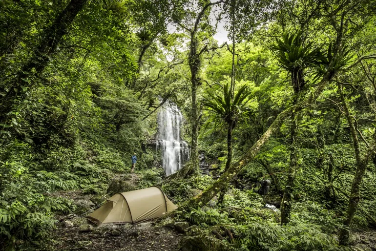 Fjallraven Abisko Lite 2 Tent - Pine Green