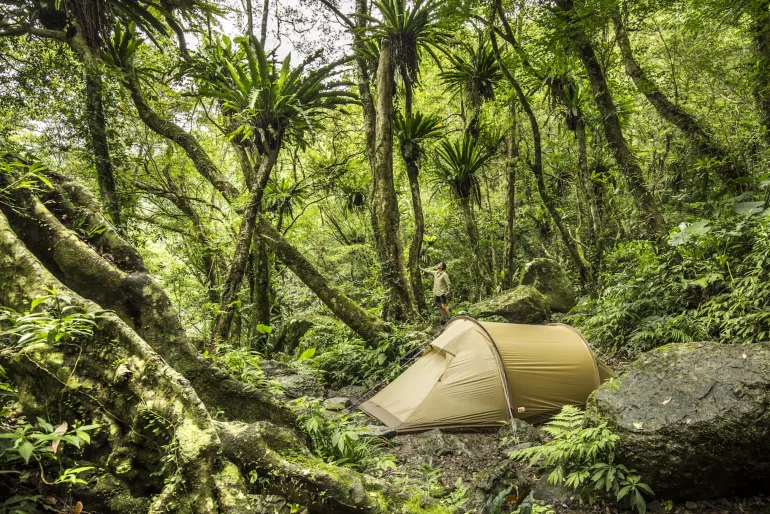 Fjallraven Abisko Lite 2 Tent - Pine Green