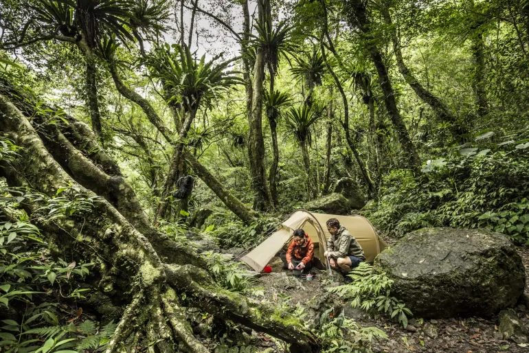 Fjallraven Abisko Lite 2 Tent - Pine Green