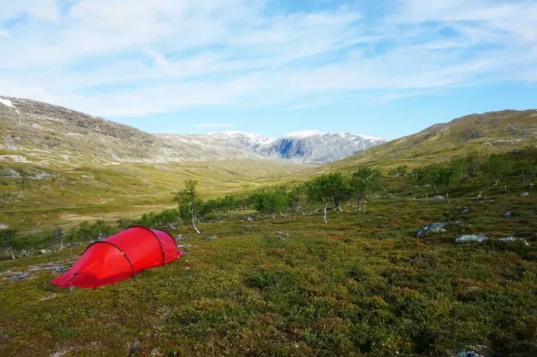 Hilleberg Anjan 3 GT Tent - Green