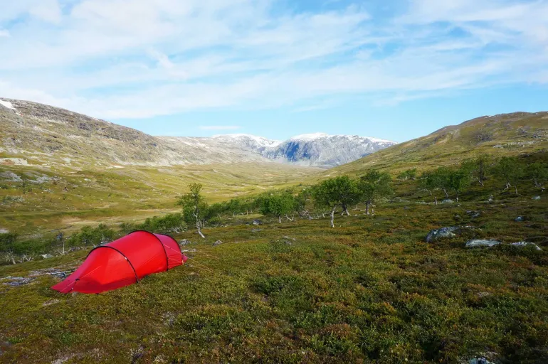 Hilleberg Anjan 2 GT Tent - Green