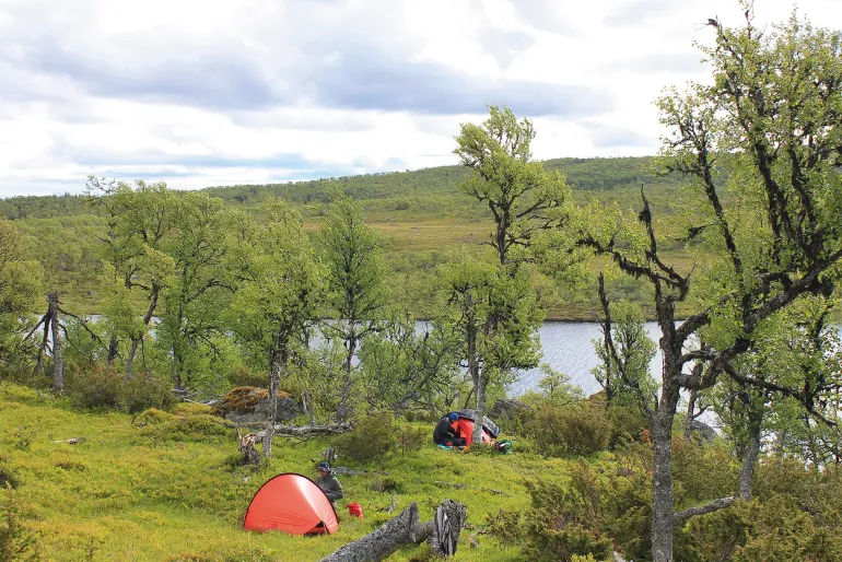 Hilleberg Enan Tent - Green