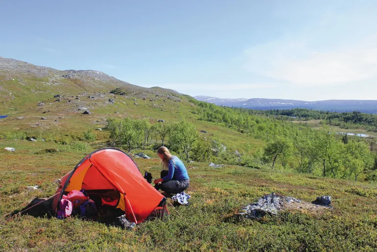 Hilleberg Enan Tent - Green