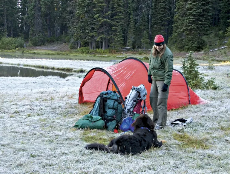 Hilleberg Nallo 4 GT Tent - Sand