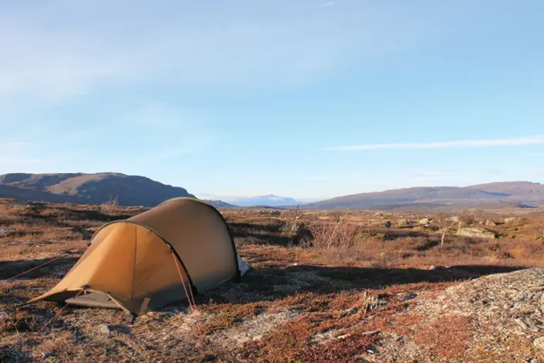 Hilleberg Nallo 2 Tent - Green