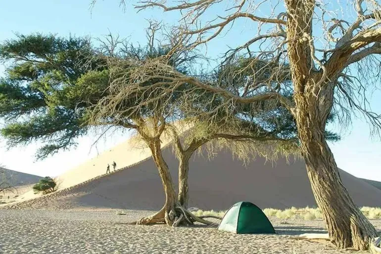 Hilleberg Unna Tent - Green