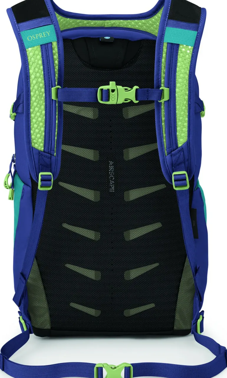 Osprey Daylite Plus Rucksack - Blue Spikemoss-Alkaline