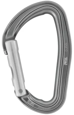 Petzl Djinn Straight Gate Carabiner - Gray