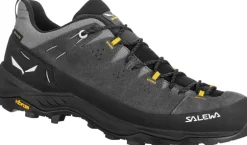 Salewa Mens Alp Trainer 2 GTX Shoes - Onyx-Black