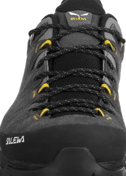 Salewa Mens Alp Trainer 2 GTX Shoes - Onyx-Black