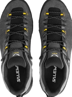Salewa Mens Alp Trainer 2 GTX Shoes - Onyx-Black