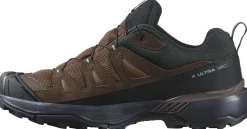 Salomon Mens X Ultra 360 LTR GTX Shoes - Dark Earth-Delicioso-Sharkskin