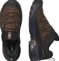 Salomon Mens X Ultra 360 LTR GTX Shoes - Dark Earth-Delicioso-Sharkskin