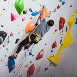 YY Vertical Chalk Bag - T-Rex